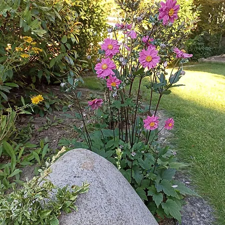 Apartment An Der Elbe